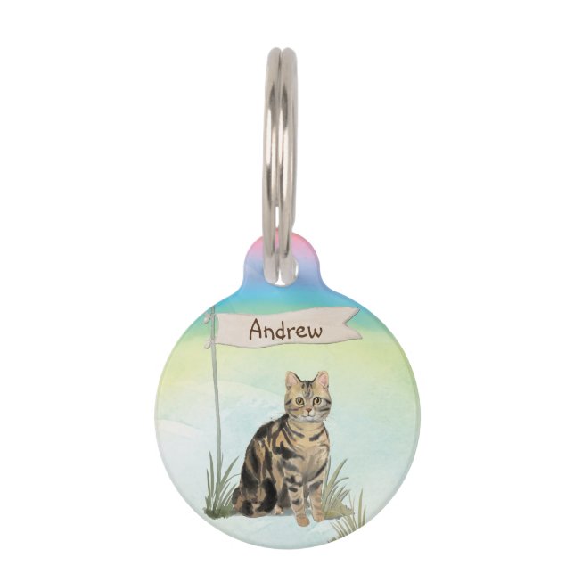 Custom Name Tabby Cat Pet Pet ID Tag (Front)