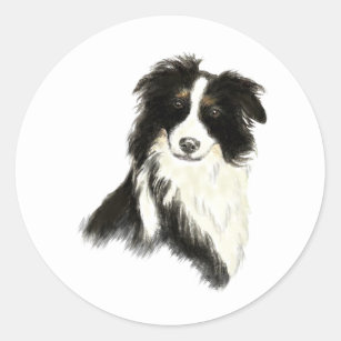 Custom Name text Border Collie Dog Pet Classic Round Sticker