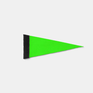 Custom Neon Green Party Pennant Flag