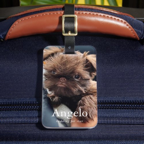 Custom New Pet Puppy Dog 2 Photo Luggage Tag