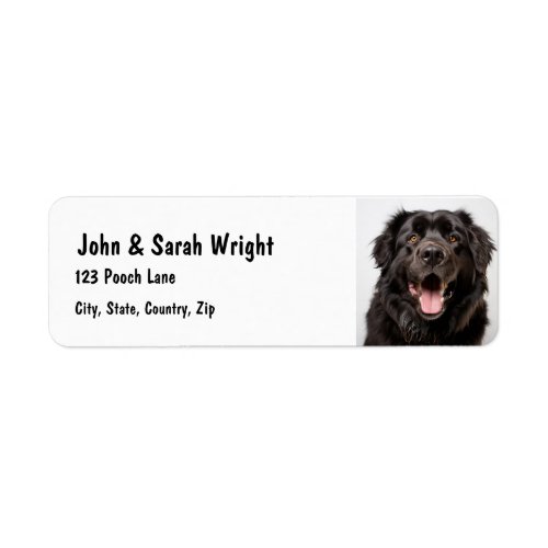 Custom Newfoundland  Dog Address Label