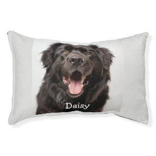 Custom Newfoundland Dog Pet Animal  Bed