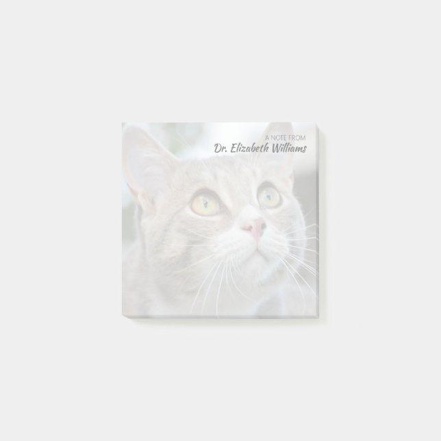 Custom Note from Veterinarian with Faded Cat Photo (Front)