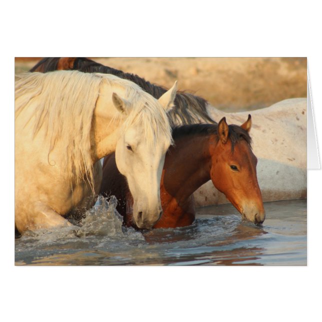 CUSTOM NOTECARD ONAQUI HERD Wild Horses & her baby (Front Horizontal)