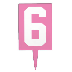 Custom number cake topper for girl's 6th Birthday