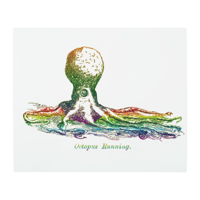Custom - Octopus Running - Wall Decor Art (Front)