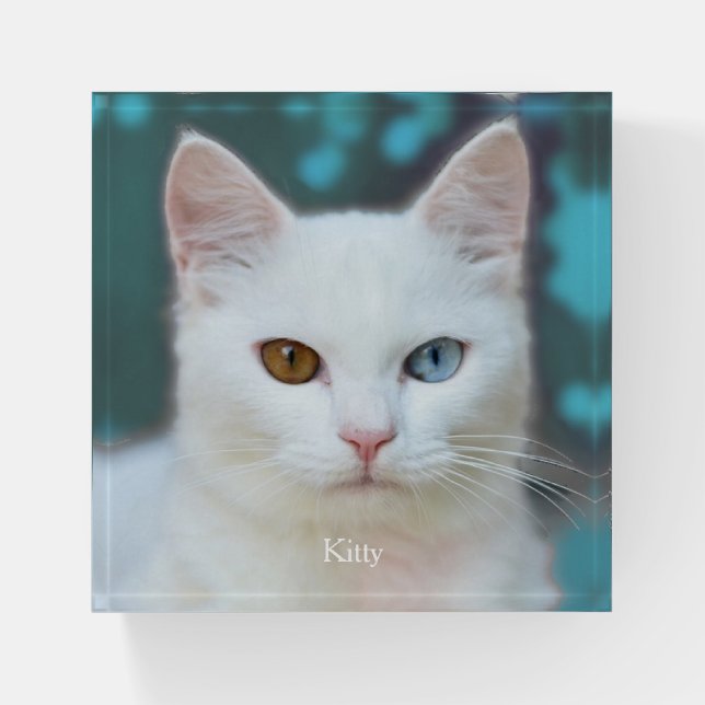 Custom Odd-Eyed White Cat Photo Paperweight (Front)
