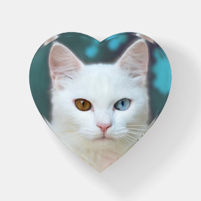 Custom Odd-Eyed White Cat Photo Paperweight (Front)