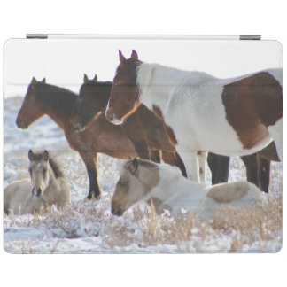 CUSTOM ONAQUI HERD IN THE SNOW IPAD SMART CASE