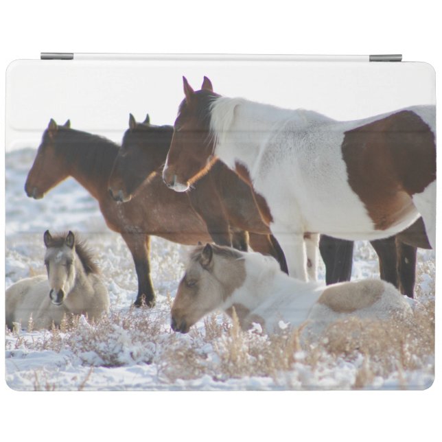 CUSTOM ONAQUI HERD IN THE SNOW IPAD SMART CASE (Horizontal)