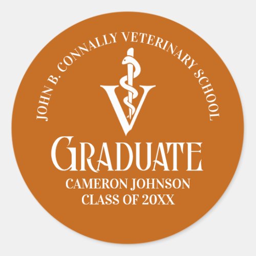 Custom Orange Veterinary School Graduation Party Classic Round Sticker