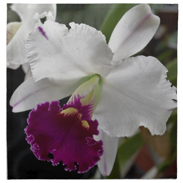 Custom Orchid Cloth Dinner Napkins (set of 4) (Front)