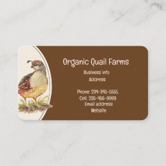 Custom Organic Quail Bird Eggs Farm  Animal