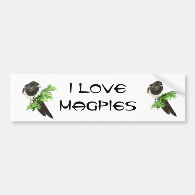 Custom Original Watercolor Magpie Pine Branch Bumper Sticker (Front)