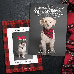 Custom Ornate Christmas Typography Pet Photo Holiday Card