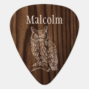 Custom Owl Guitar Pick