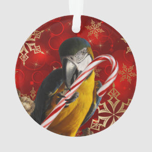 Custom Parrot Photo Ornament Front and Back