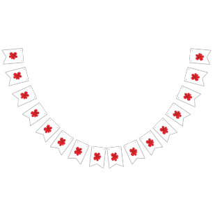 Custom Party Bunting • Graduation to Weddings Flags