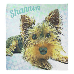 yorkie bandana