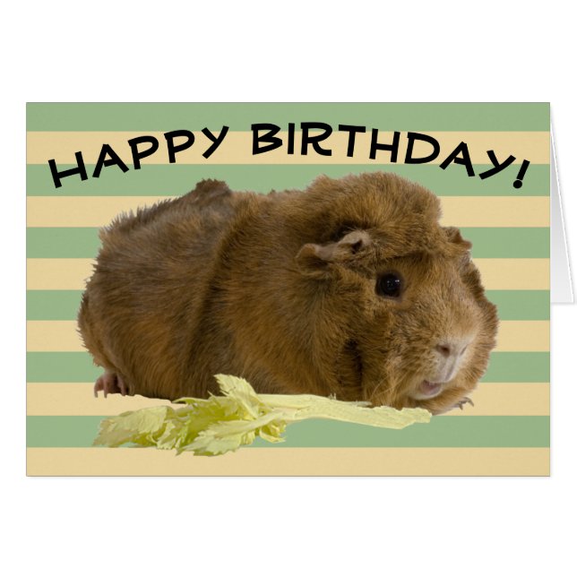 Custom Pastel Stripes Adorable Guinea Pig Photo (Front Horizontal)