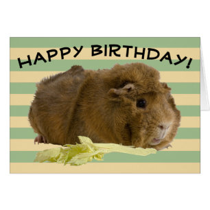 Custom Pastel Stripes Adorable Guinea Pig Photo Cards