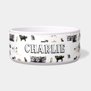 Custom pattern with photos of Cats and kittens Bowl