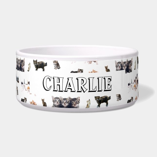 Custom pattern with photos of Cats and kittens Bowl (Front)