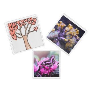 Custom Personalize DIY Project Home Destiny'S Acrylic Tray