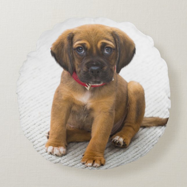 Custom  personalized add your own pet dog photo round pillow (Front)