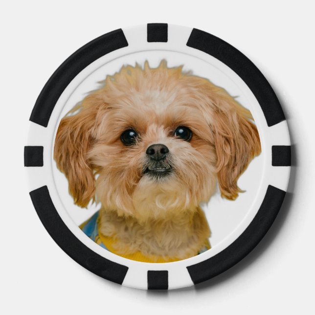 Custom Personalized Casino Photo Poker Chips (Front)