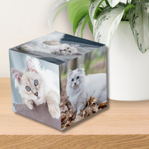 Custom Personalized Cat Keepsake Pet Photo Cube