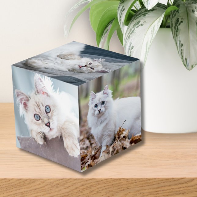 Custom Personalized Cat Keepsake Pet Photo Cube (Custom Personalized Cat Keepsake Pet Photo cube)
