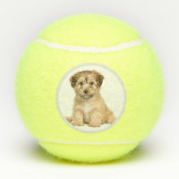 Custom Personalized Dog Photo