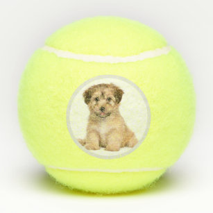 Personalized tennis hotsell balls for dogs