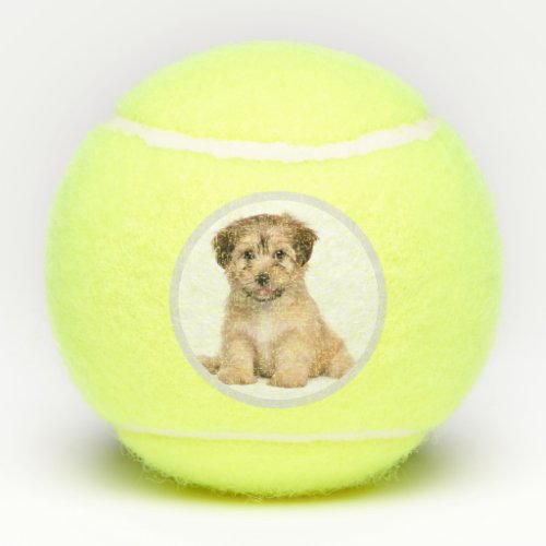 Custom Personalized Dog Photo Tennis Balls