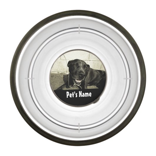 Custom Personalized Name Color Photo Pet Bowl (Front)