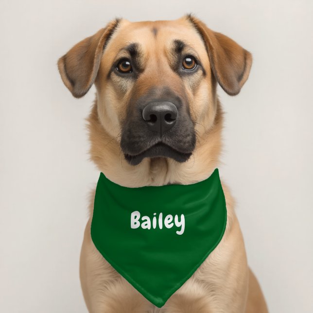 Custom Personalized Name Minimal Forrest Green Pet Bandana Collar (Dog 2)