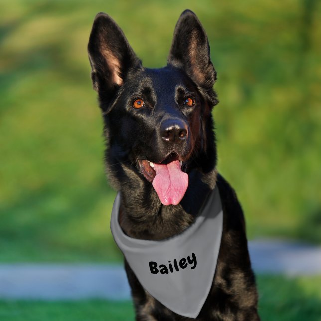 Custom Personalized Name Minimal Grey Pet Bandana Collar (Dog)