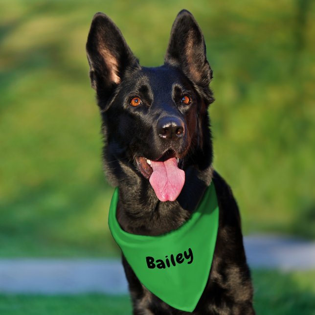 Custom Personalized Name Minimal Kelly Green Pet Bandana Collar (Dog)