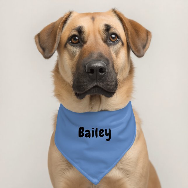 Custom Personalized Name Minimal Light Blue Pet Bandana Collar (Dog 2)