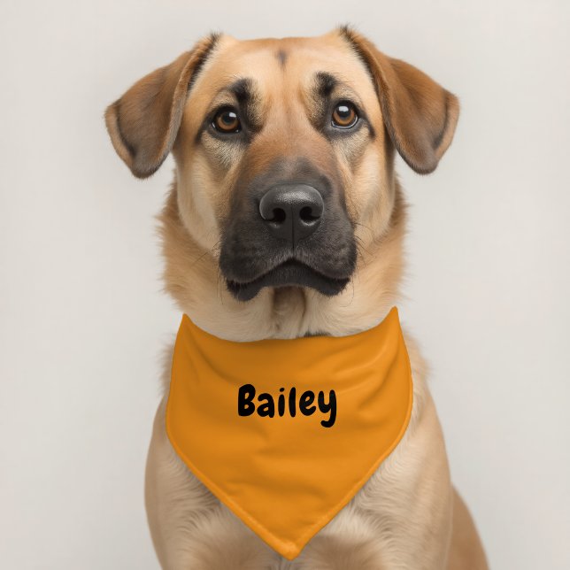 Custom Personalized Name Minimal Light Orange Pet Bandana Collar (Dog 2)