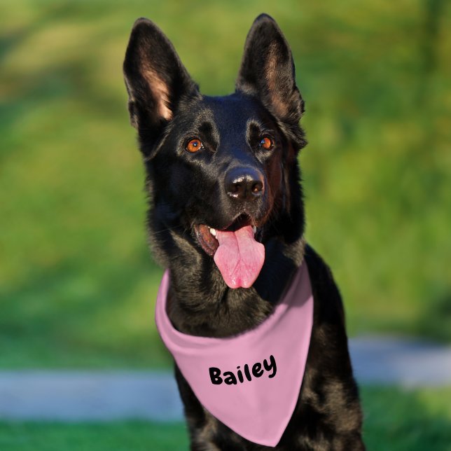 Custom Personalized Name Minimal Light Pink Pet Bandana Collar (Dog)