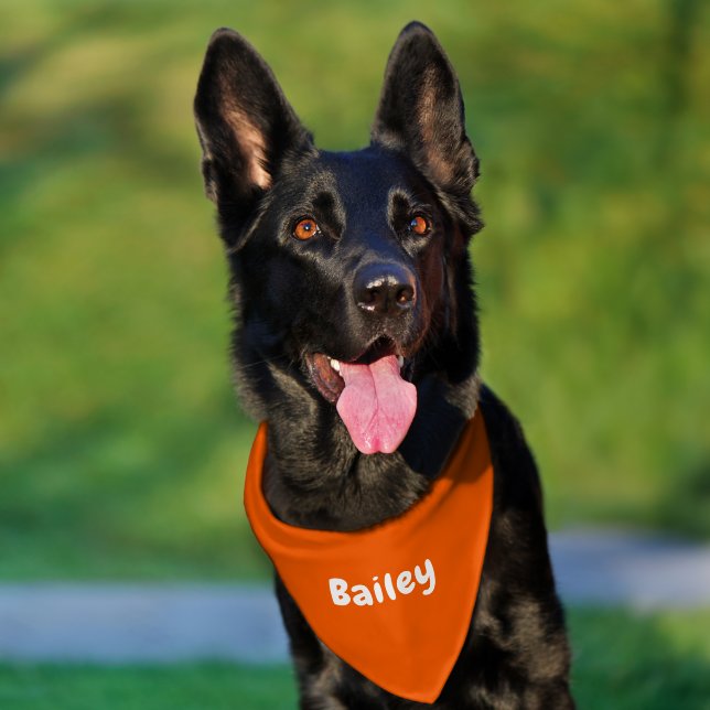 Custom Personalized Name Minimal Orange Pet Bandana Collar (Dog)