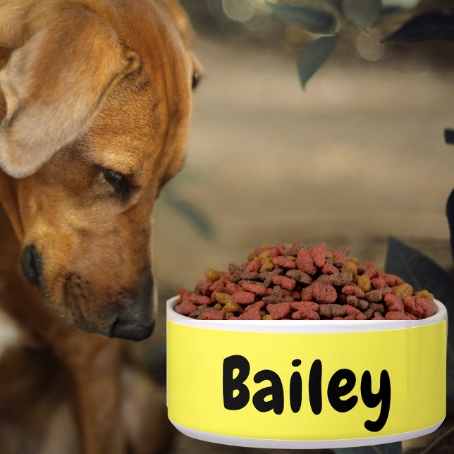 Custom Personalized Name Photo Art Color Pet Large Bowl (Custom Personalized Name Photo Art Color Pet Large Bowl)