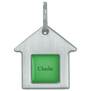 Custom Personalized Name Photo Art Kelly Green Pet ID Tag