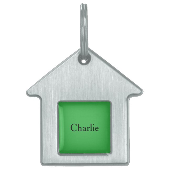 Custom Personalized Name Photo Art Kelly Green Pet ID Tag (Front)