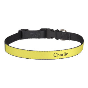 Custom Personalized Name Photo Art Light Yellow Pet Collar