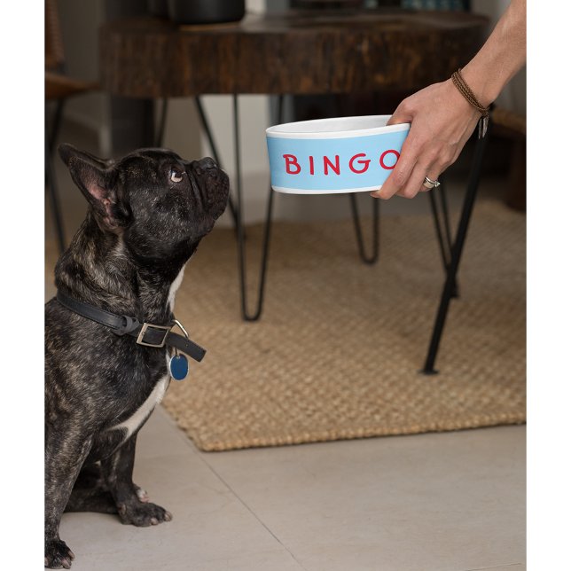 Custom Personalized Pet Dog Cat Name Food Bowl (Custom Personalized Pet Dog Cat Name Food Bowl)