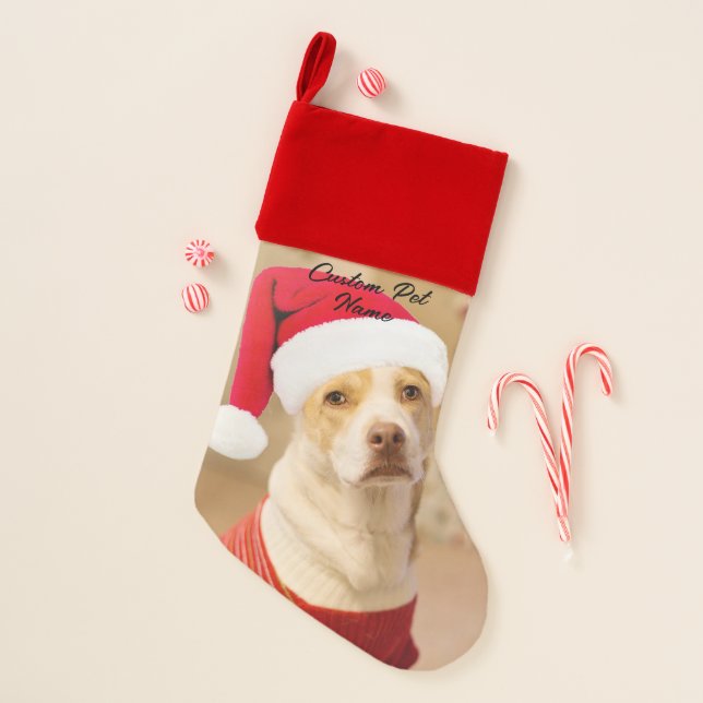 Custom Personalized Pet Photo Stockings, Unique  Christmas Stocking (Front)