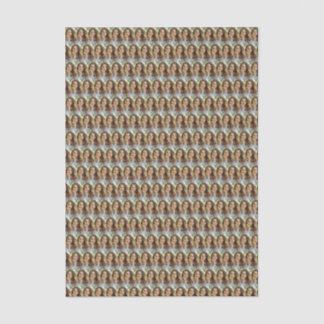 Custom Personalized Photo Collage Tissue Paper